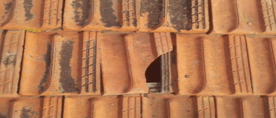 Rénovation de façade